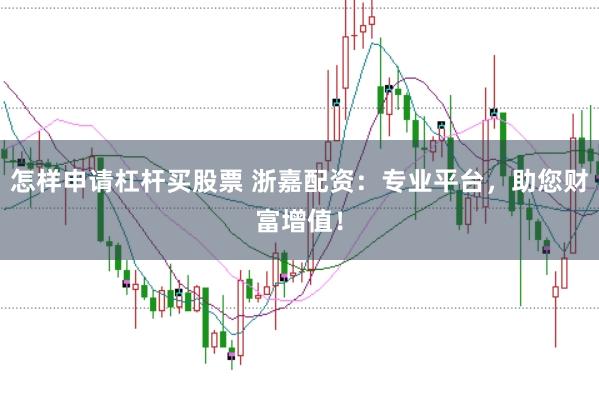 怎样申请杠杆买股票 浙嘉配资：专业平台，助您财富增值！