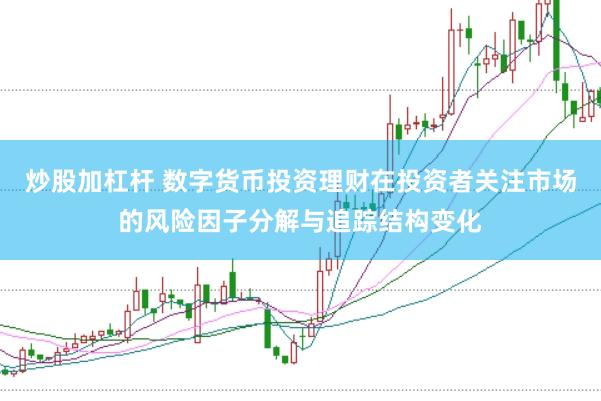 炒股加杠杆 数字货币投资理财在投资者关注市场的风险因子分解与追踪结构变化